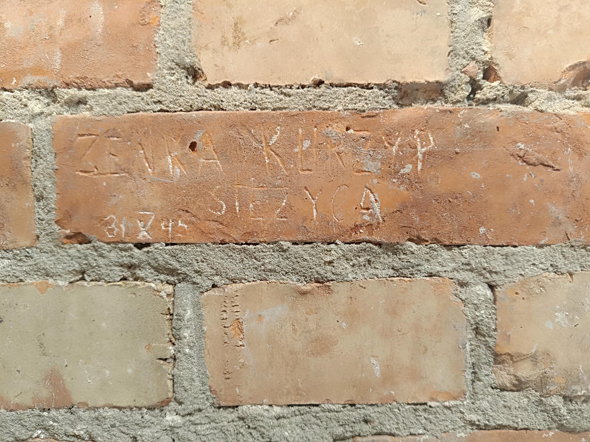 Zdjęcie profilowe - Inskrypcja wyryta na czerwonej cegle: „Zenka Kurzyp Stężyca 31 X 45” Źródło: IPN