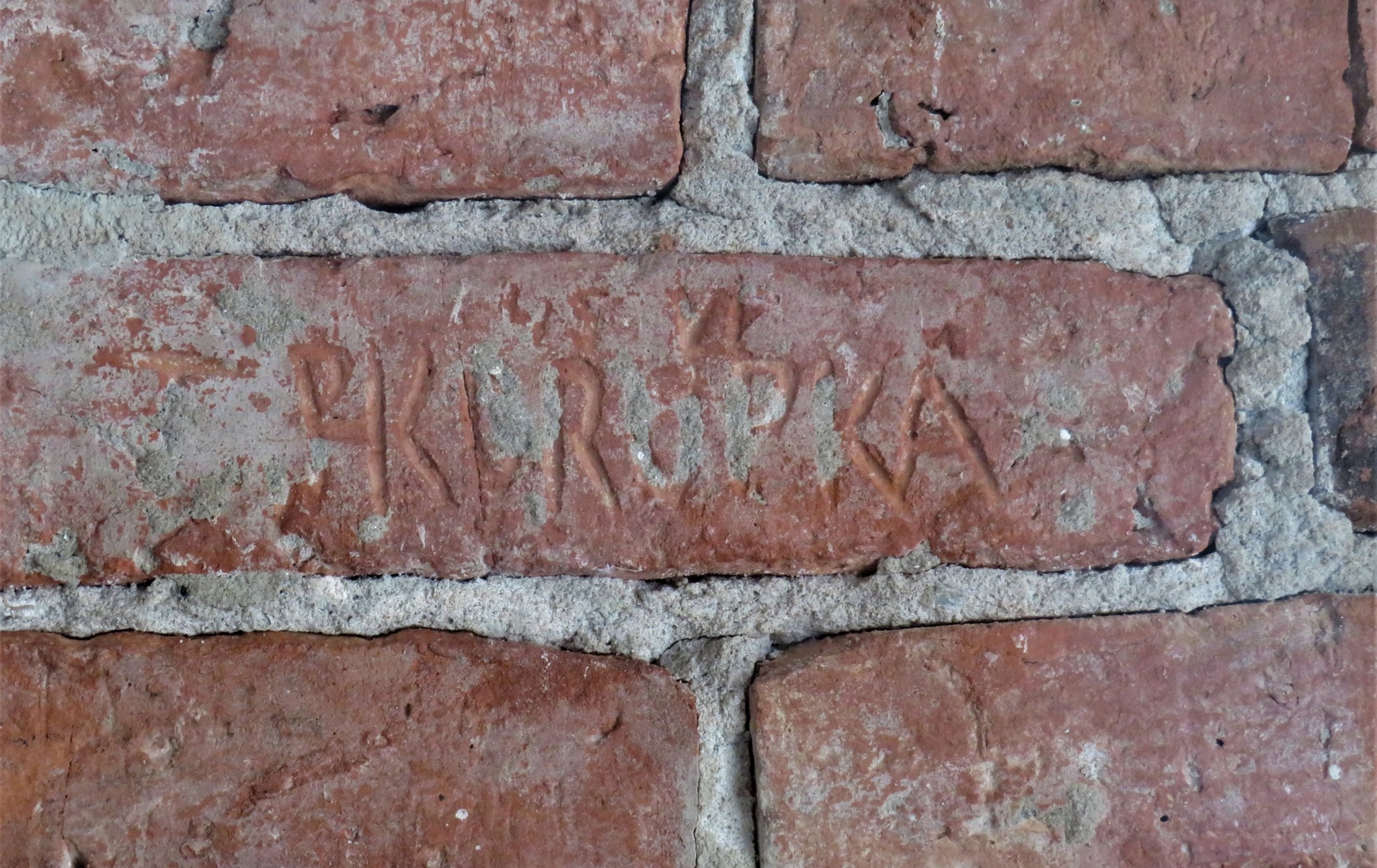 Zdjęcie profilowe - Inskrypcja wyryta na czerwonej cegle: „Skorupka ” Źródło: IPN